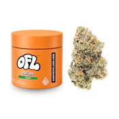 Oak-Lato | Premium Flower | 7g
