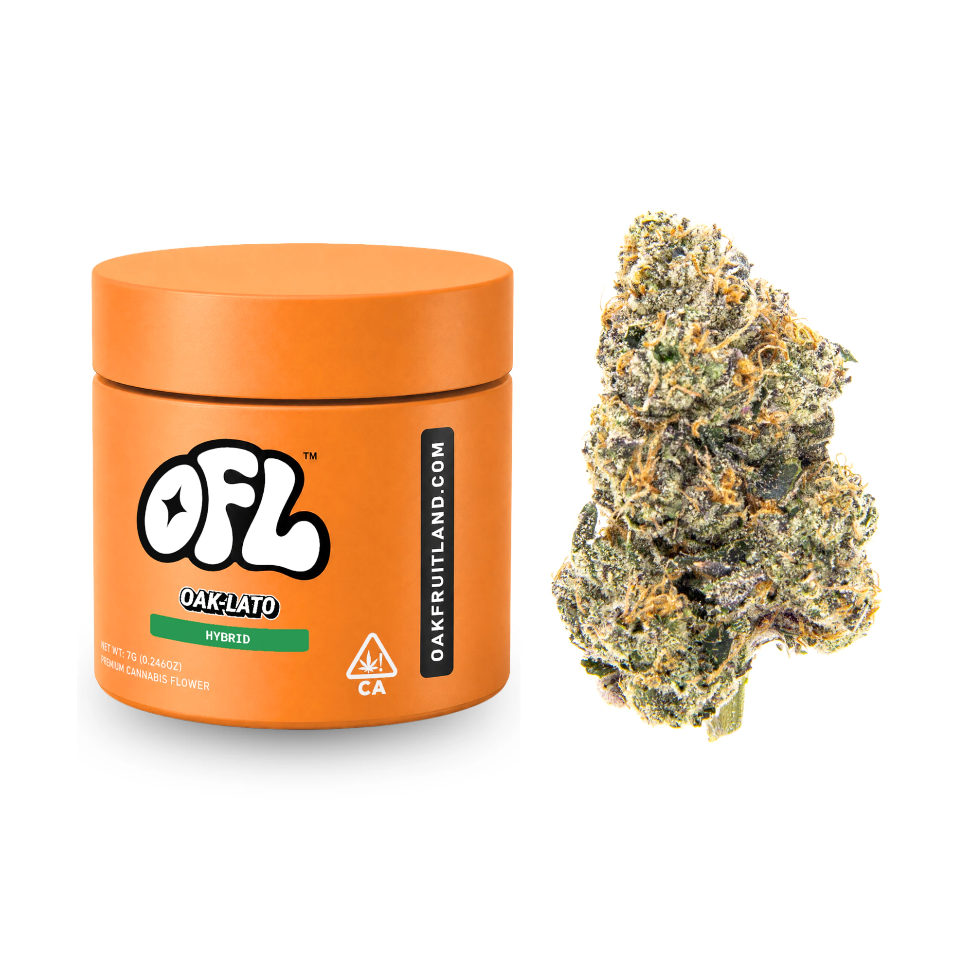 Oakfruitland (OFL) - Oak-Lato | Premium Flower | 7g Main Image