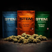 STEM - MANGO BANGO 7 GRAMS