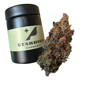 Local Roots - Jack Skunk - 7g - Local Roots