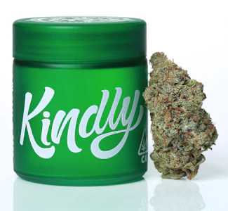 KINDLY - Kindly - Gorilla Glue