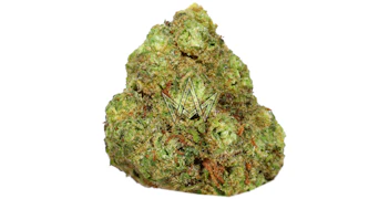 Martians - Black Cherry Gelato - 3.5g
