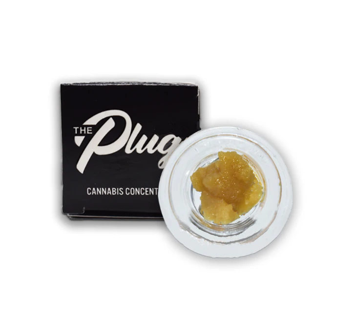 The Plug - The Plug - Spritzer - 1g Badder Main Image