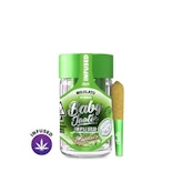 Baby Jeeter - 5pk Infused Prerolls - Mojilato