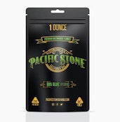 PACIFIC STONE: 805 Glue 28g (H)