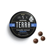 Kiva - Terra Bites - Milk Chocolate Blueberry - THC 100MG