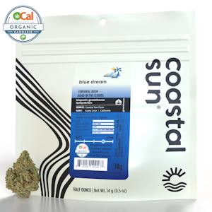 COASTAL SUN - Blue Dream - 14g (SH) - Coastal Sun