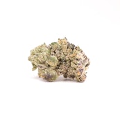 Gelatte Cream Smalls 7g