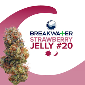 Breakwater - [MED] Breakwater | Strawberry Jelly #20 | 7g Flower
