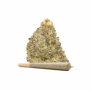 ALMORA FARMS - Almora Farm - Lemon Cherry Gelato - 14pk 0.5g Pre-Rolls