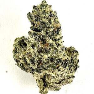 PROHIBITION 37 - P37 - Laughing Gas 