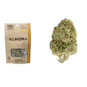 Almora - Cherry Punch 3.5g