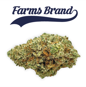 FARMS BRAND - Lava Cake 3.5g Jar - Farms Brand