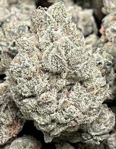 420 KINGDOM - Motorhead - 3.5g (1/8oz) - 420K