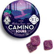 CAMINO BLACKBERRY DREAM - 1 Pack