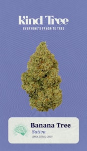 KIND TREE - Kind Tree | Banana Tree | 3.5g Littles