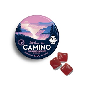 Camino - Wild Berry 100mg Gummy 20pk - Camino