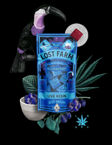 Blueberry (Live Resin Infused) Fruit Chews - 100mg (S) - Lost Farms