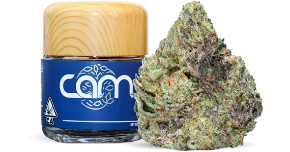 CAM - CAM - Bubba's Girl Private Reserve - 3.5g