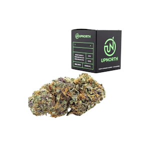UpNorth - Black Cherry Gelato (H) | 3.5g Premium Indoor | Up North