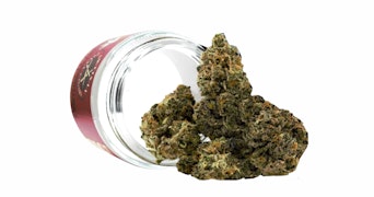 Artisan - Purple Punch Mintz - 3.5g