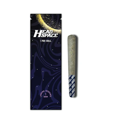 HEAD SPACE (NY) - Gelonade 1g -Hybrid/Sativa- 19.76% THC | 1g (Pre-Roll) | Head Space   -R5 BACK