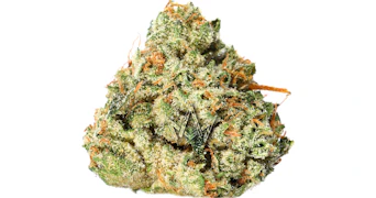 Traditional - SFV OG Minis - 5g