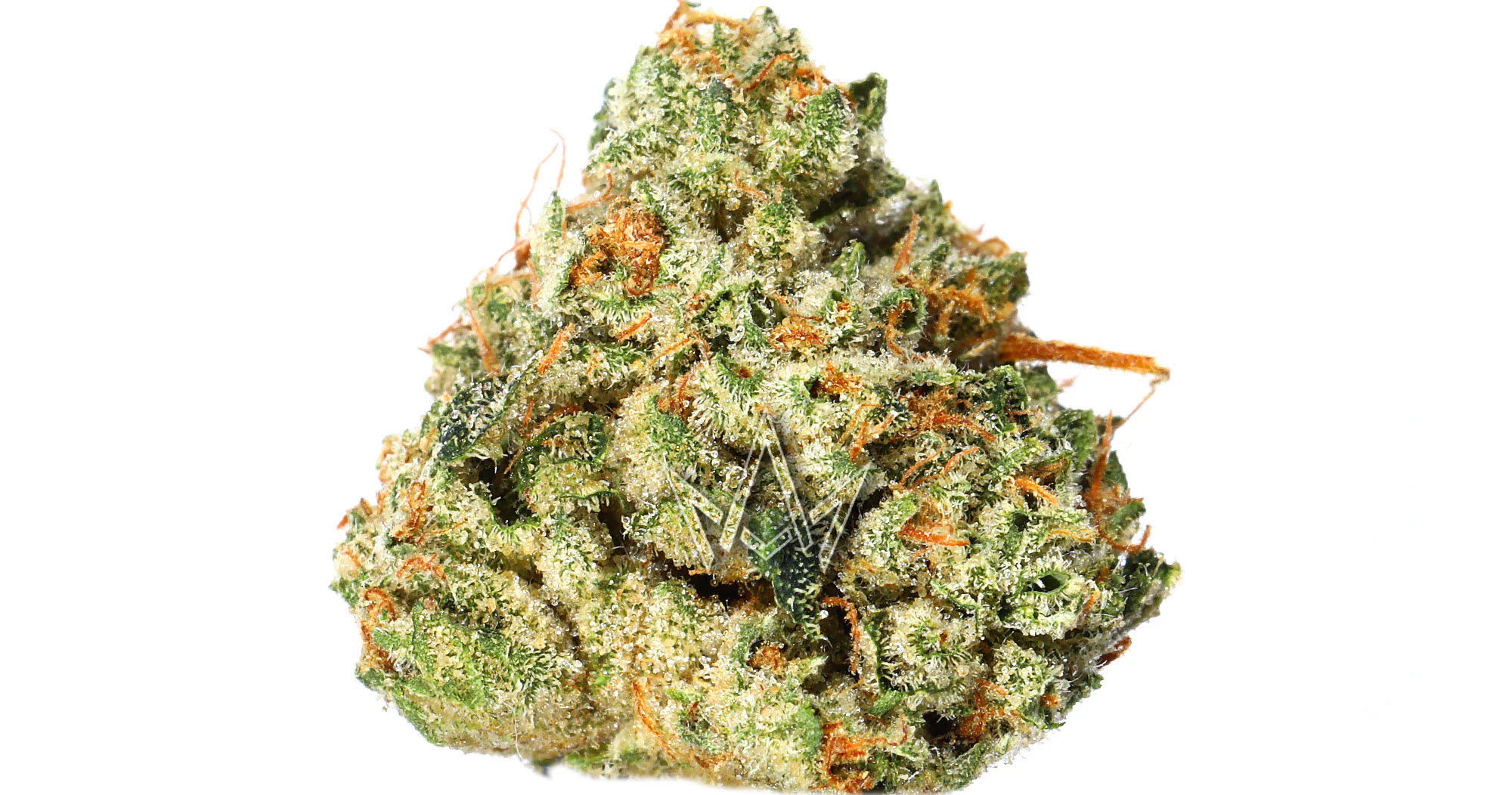 Traditional - Traditional - SFV OG Minis - 5g Main Image