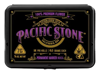 Permanent Marker 14 Pack 7G