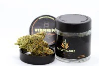 SF Cultivators - Cadillac Rainbow - 3.5g (IH) - SF Cultivators Main Image