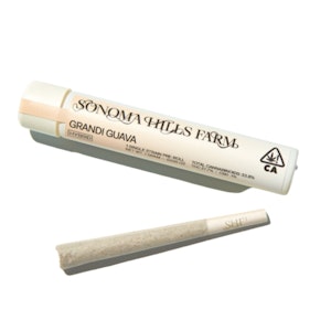 SONOMA HILLS FARM - Grandi Guava - Preroll - 1g (H) - SHF