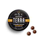 Kiva | Terra Bites (20ct) | Milk Chocolate Sea Salt Caramel | 100mg