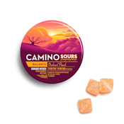 Kiva Camino  | Gummies (10ct) | Sour Orchard Peach 1:1 CBD  | 100 mg