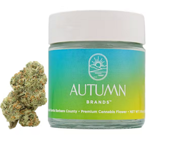 AUTUMN BRANDS - Autumn Brands 3.5g Blue Dream