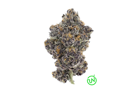 UpNorth - Jelly Runtz - 3.5g (H) - UpNorth