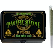 [Pacific Stone] Preroll 14 Pack - 7g - Kush Mints (H)