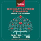 Bountiful Farms | Chocolate Covered Strawberry (H) - Chocolate Bar 20pc 100mg
