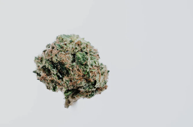 420 Kingdom - Cherry Chem - 28g Bundle (4 1/4oz) - 420K Main Image