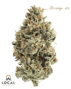 Local - Orange 43 - 3.5g (S) - Local