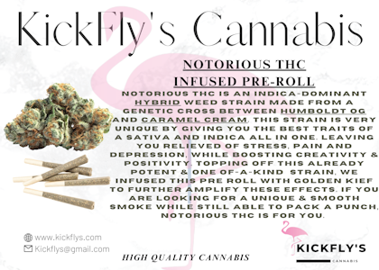 Kickfly Cannabis - Kickfly | Notorious THC | Infused Preroll | .75g