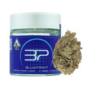 Blueprint - 3.5g Triple Lindy (Indoor) - BluePrint
