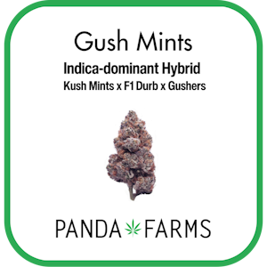 Panda Farms - [REC] Panda Farms | Gush Mints | 28g Flower