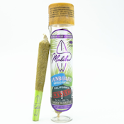 Malibu's Most Wanted Funboard 1g Infused Pre-Roll - Malibu