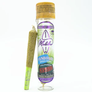 Malibu - Malibu's Most Wanted Funboard 1g Infused Pre-Roll - Malibu