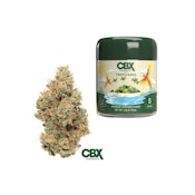 Tropicanna | Indoor 3.5g Jar | CBX
