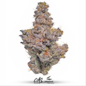 Bananaconda *34% TAC* | 3.5g Premium Flower | TAX INCLD