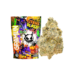 GRAMLIN - GRAMLIN | CITRUS BLAST | FLOWER | 3.5G