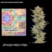 OG Kush - 3.5g (S) - SHF