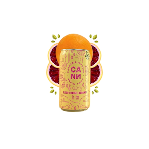 Blood Orange Cardamom (Hi-Boys) - 4pk - Social Tonic - CANN