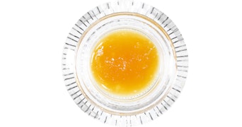 ABX - Berry Papaya Badder - 1g